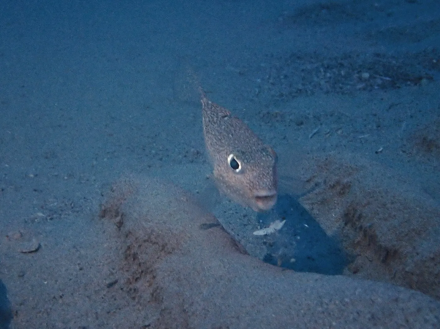 奄美大島の海